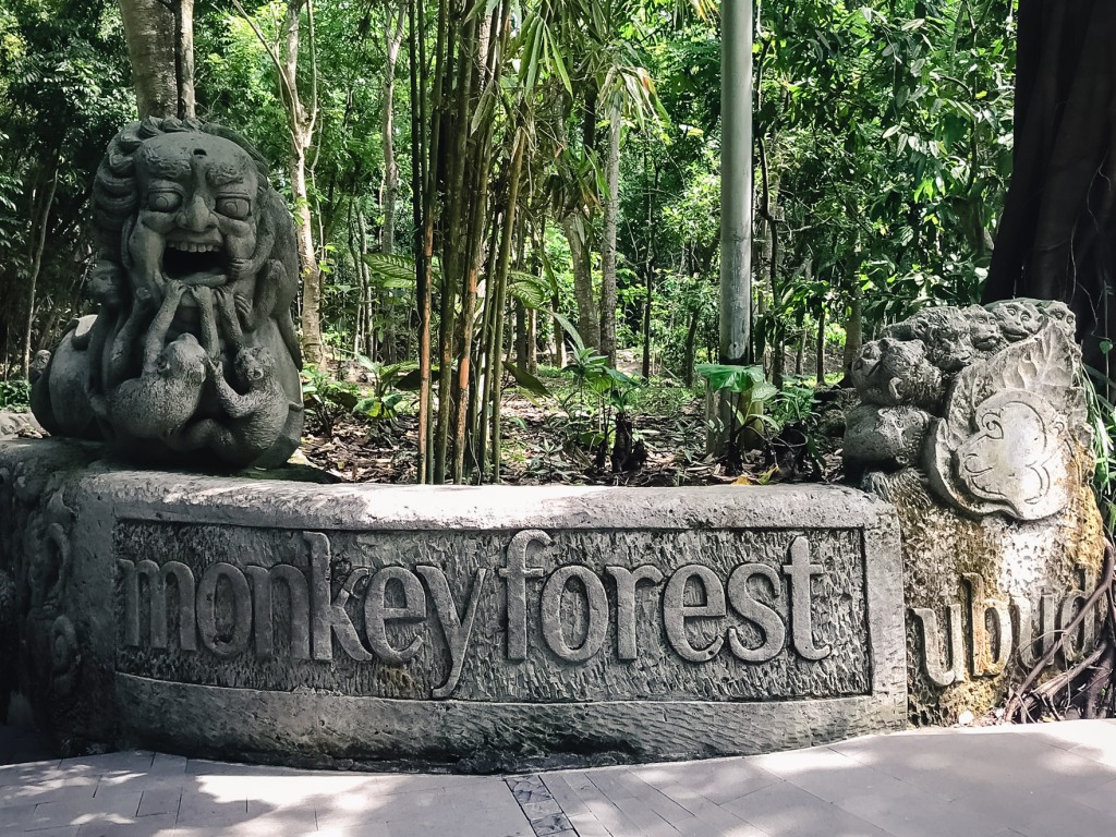 monkey forest entrance.jpg
